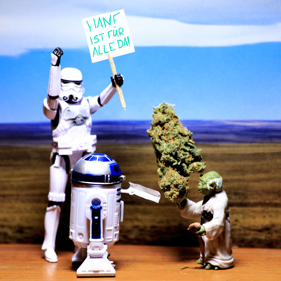 STAR-WEED - Starring: Yoda - R2D2 - Clone trooper - Photo: Eric Reppe