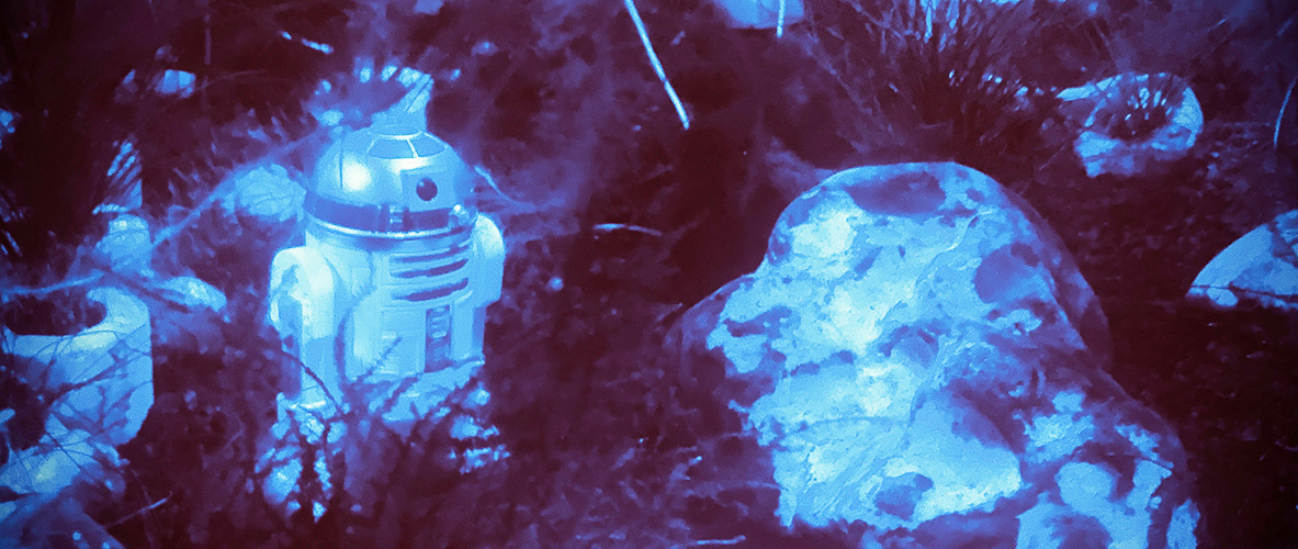 Starring: R2-D2 – Aquascape & Photo: Eric DER HAARFLÜSTERER®